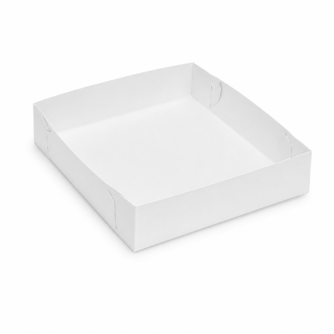 Caja B4 Cartón - 100 Uni